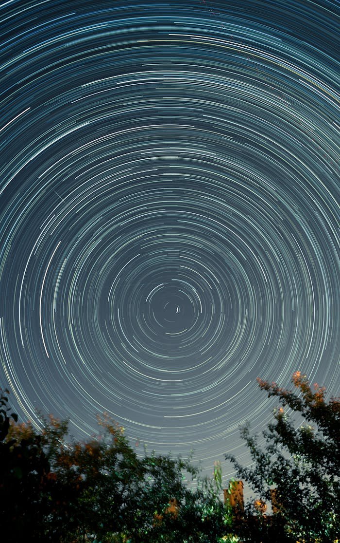 services-01 Captivating long exposure image showcasing star trails forming circles in the night sky above silhouette of trees.
